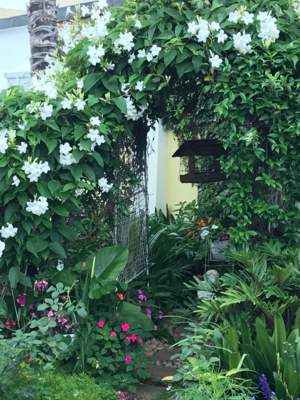 Bed and Breakfast On The Bay Port Elizabeth Exterior foto